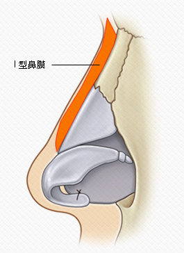 台中隆鼻